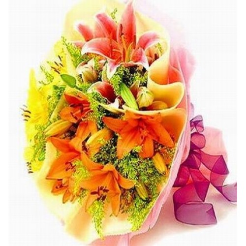 Sumptuous Feelings