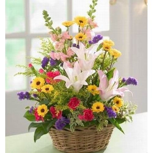 Gorgeous Elegance