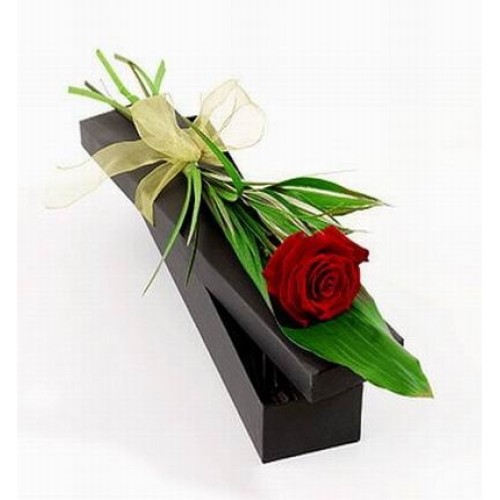 Single Gift Rose (Single Gift Rose)