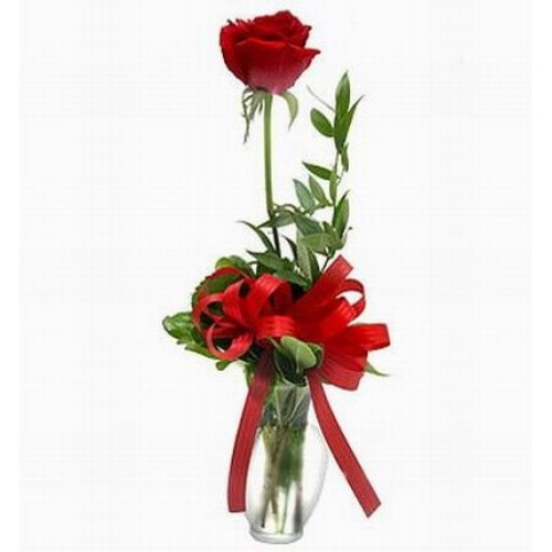 Single Vased Rose (Single Vased Rose)