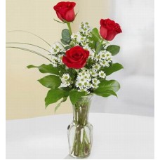 Triplet Roses (Assorted Triplets)