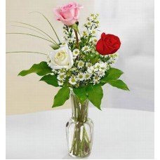 Assorted Triplets (Triplet Roses)