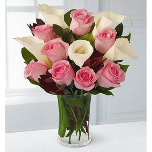 Calla Pink Standard (Calla Pink Standard)