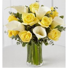 Calla Yellow Standard (Calla Yellow Standard)