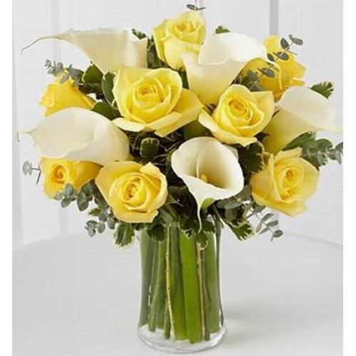 Calla Yellow Standard (Calla Yellow Standard)