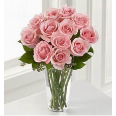 12 Pinks (12 Pinks)