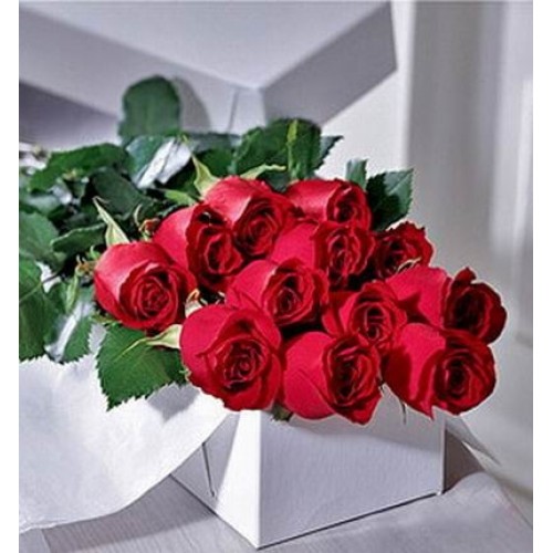 Boxed Long Stem Roses (Boxed Long Stem Roses)