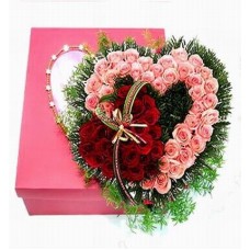 Double Hearts (Double Hearts)