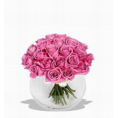 Pinks 22 (Pinks 22)