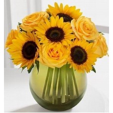 Sunny Roses