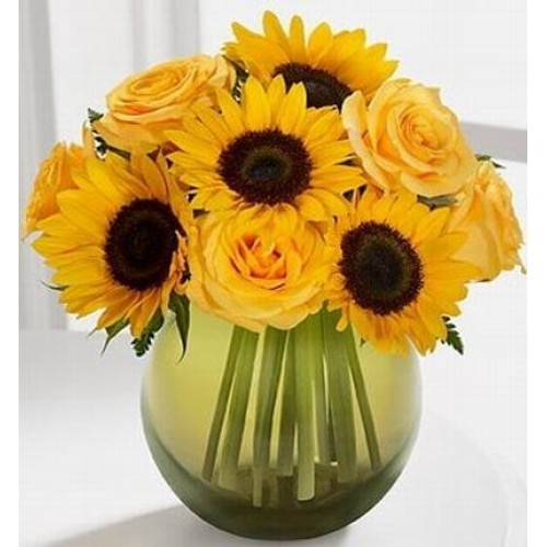 Sunny Roses