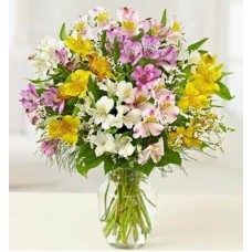 Assorted Alstromerias