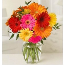 Simply Daisies
