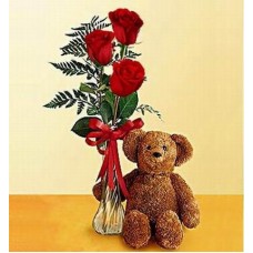 Teddy's three