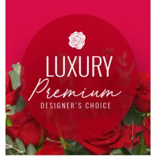 Designer's Premium Choice