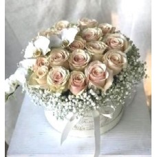 Light Pink Elegance