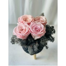Quatro Pink