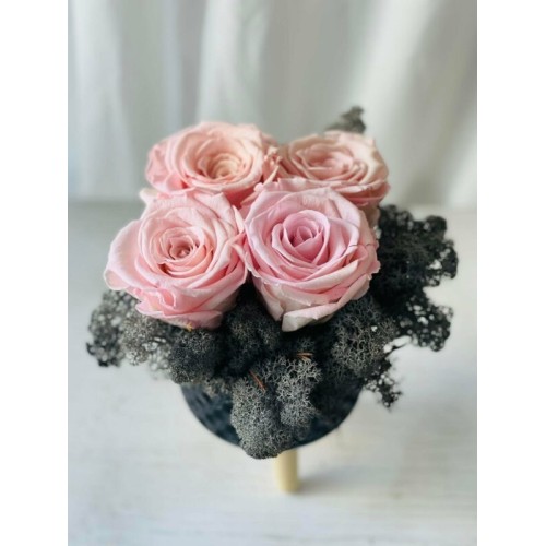 Quatro Pink