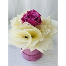 Velvet Forever Pink â€“ FOR031
