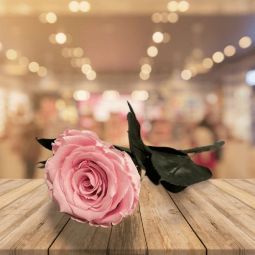 Pink Forever with stem