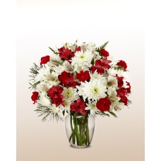 Joy in Bloom