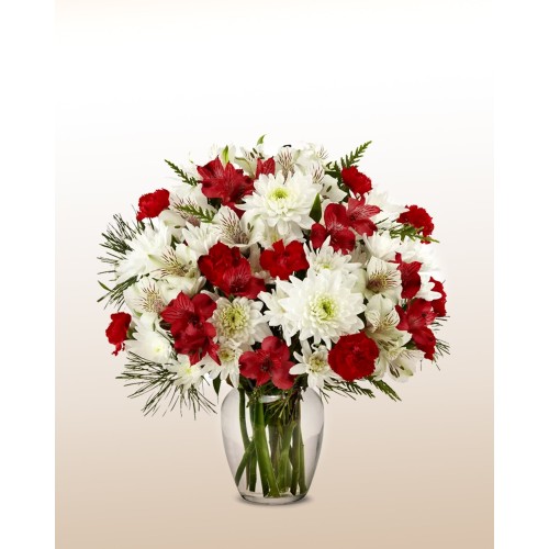 Joy in Bloom