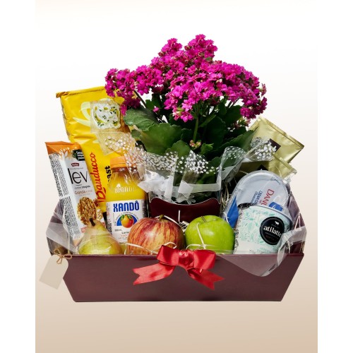 Gourmet Breakfast with Coffee and Kalanchoe
