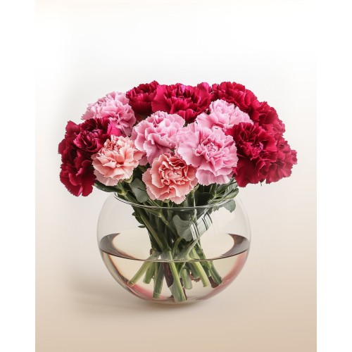 Dreamy Carnations