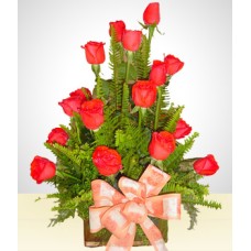 Liberty: 18 Roses Arrangement