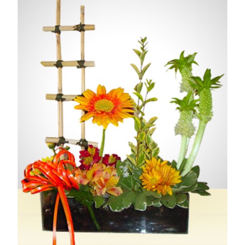 Garden Arrangement