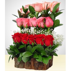 Dreaming 15 Roses Water Fall