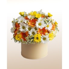 Blooming: Decorated Daisy