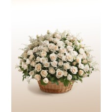 Champagne Impact: 100 White Roses Arrangement