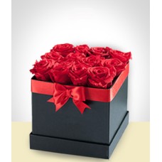 Velvet Box 12 roses