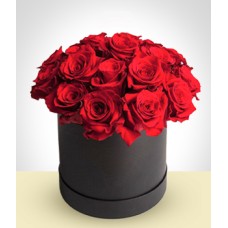 Velvet Box 24 roses