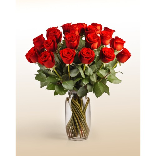 Majestic 24 Red Roses