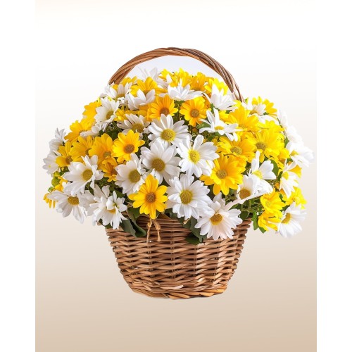 Memories: White and Yellow Daisies