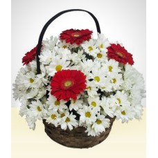 Tuned: Daisies and Gerberas in a Basket