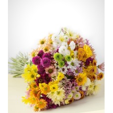 Forever: Colorful daisies Bouquet