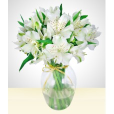 To a beloved one: Vase with White Astromelia