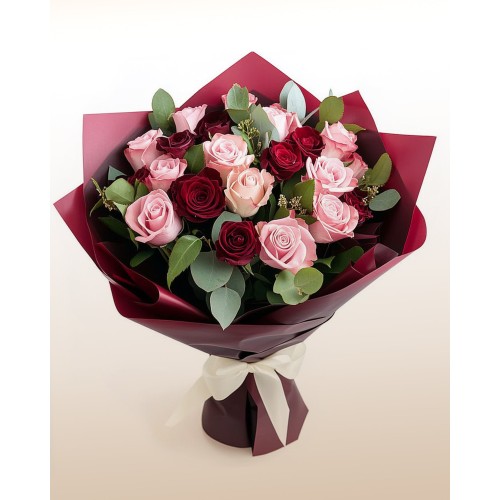 Dream Gift