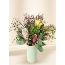 Native Seasonal Petite