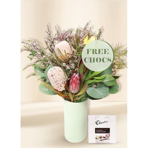 Native Seasonal Regular with Free Chocs