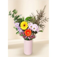 Bright Seasonal Petite