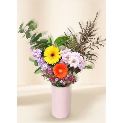 Bright Seasonal Petite