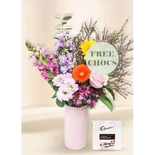 Bright Seasonal Regular with Free Chocs