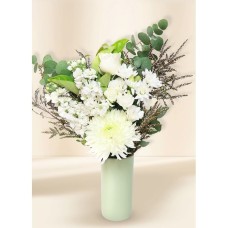White Seasonal Regular