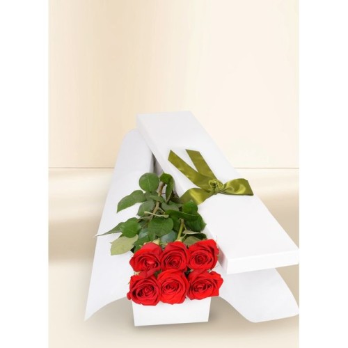 6 Red Rose Stems for Valentine's Day