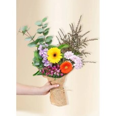 Bright Seasonal Petite
