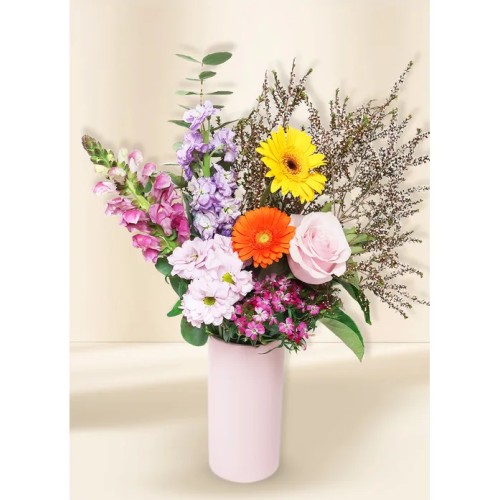 Bright Seasonal Regular